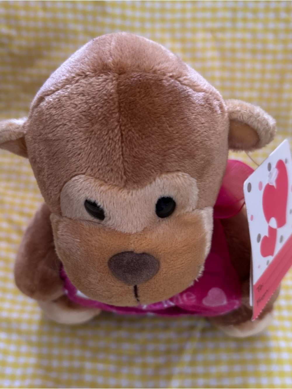 Plush Brown Monkey 'Hug Me' Stuffed Animal - Pink Heart Accessory pic frame - Picture 2 of 16